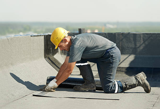Best Insulation Maintenance and Repair in Taylorsville, NC