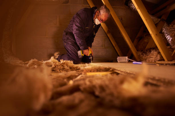 Best Insulation Installation Services in Taylorsville, NC